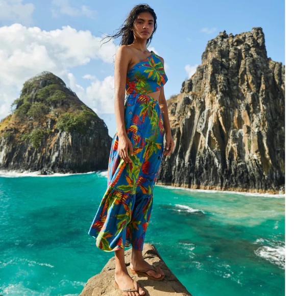 knee length dresses for ladies Farm Rio Women's Summer Garden Maxi Dress – Saint Bernard main image 1
